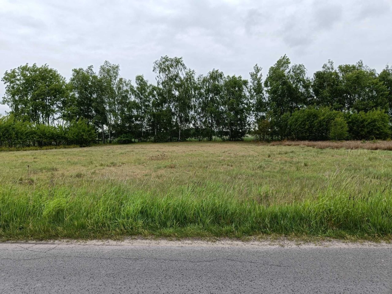 Działka budowlana Poleszyn. Zdjęcie 3