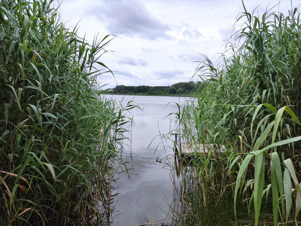 Działka budowlana Dębnica. Zdjęcie 14