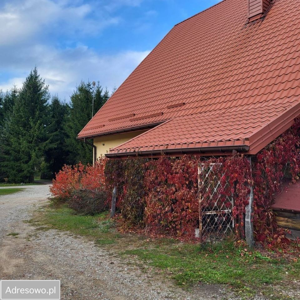 dom wolnostojący, 4 pokoje Pogobie Średnie. Zdjęcie 9