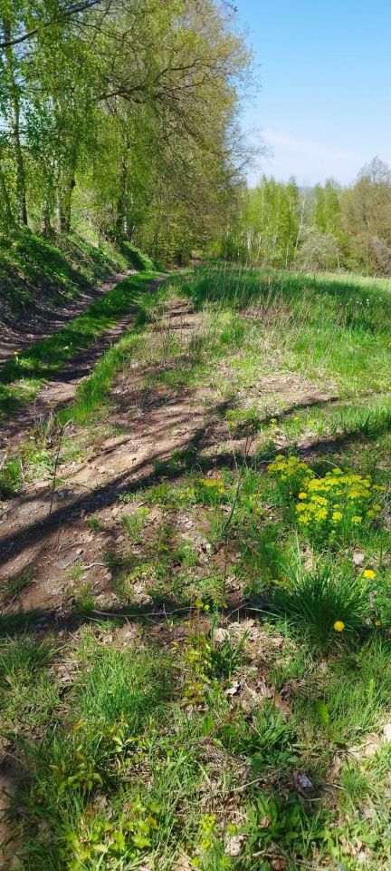 Działka budowlana Królówka. Zdjęcie 8