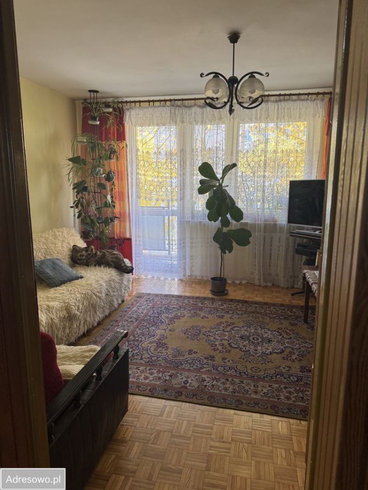 Mieszkanie 2-pokojowe Płock, ul. 11 Listopada. Zdjęcie 7