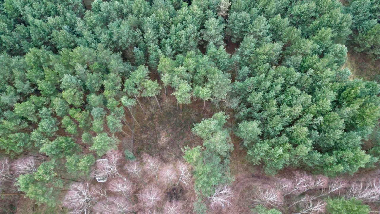 Działka rolna Daniszewice. Zdjęcie 6