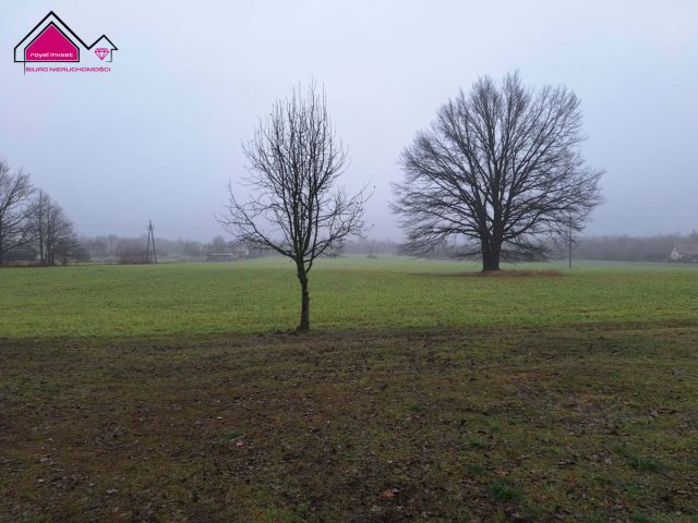 dom wolnostojący, 2 pokoje Chmielnik. Zdjęcie 14