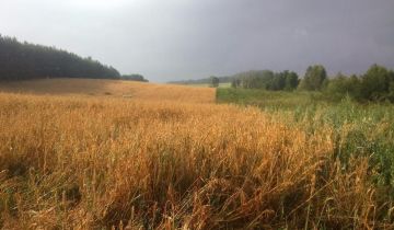 Działka rolna Rydzewo, ul. Miodowa. Zdjęcie 1