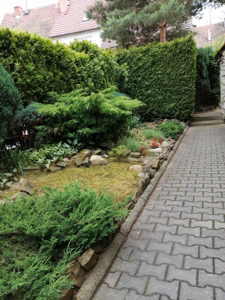 Mieszkanie 5-pokojowe Gryfów Śląski, ul. Felczerska. Zdjęcie 10