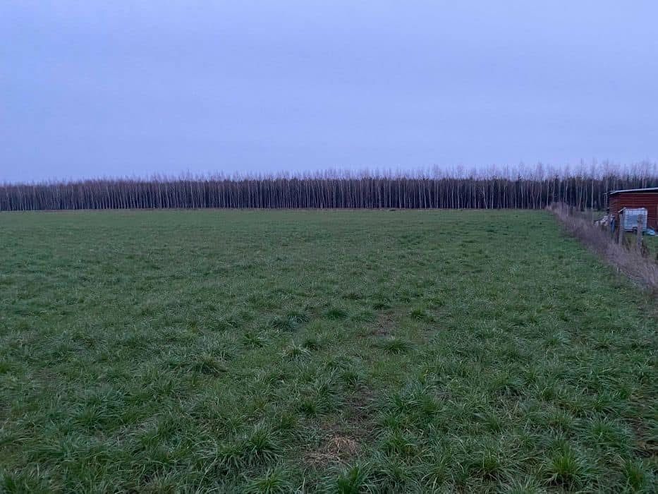 Działka budowlana Turośń Dolna, ul. Wiosenna. Zdjęcie 2