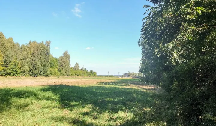 Działka budowlana Końskie, ul. Gimnazjalna