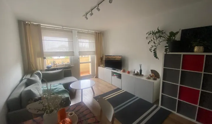 Mieszkanie 2-pokojowe Katowice Bogucice, ul. Wincentego Wajdy