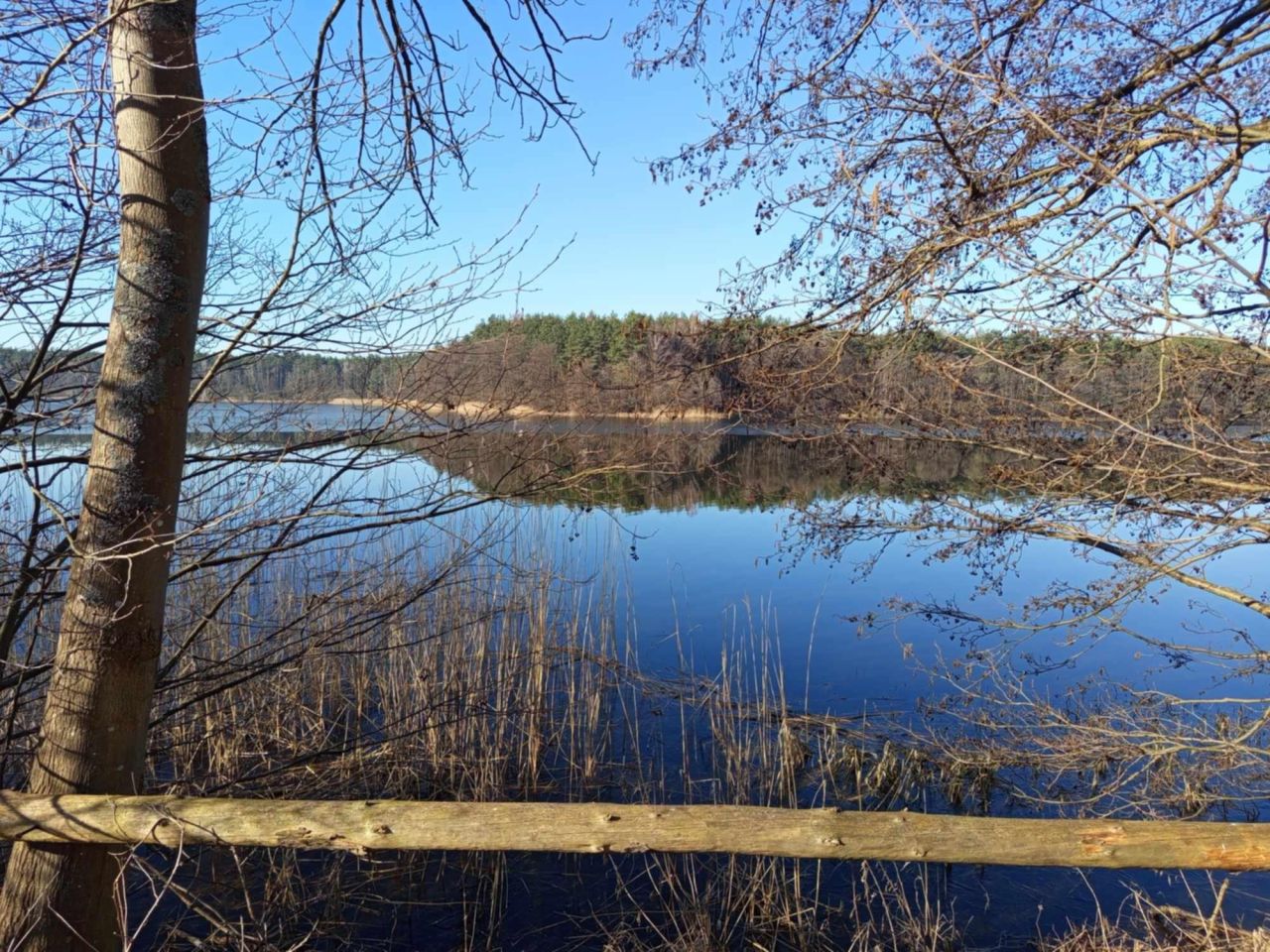 Działka rolna Zabrody. Zdjęcie 6