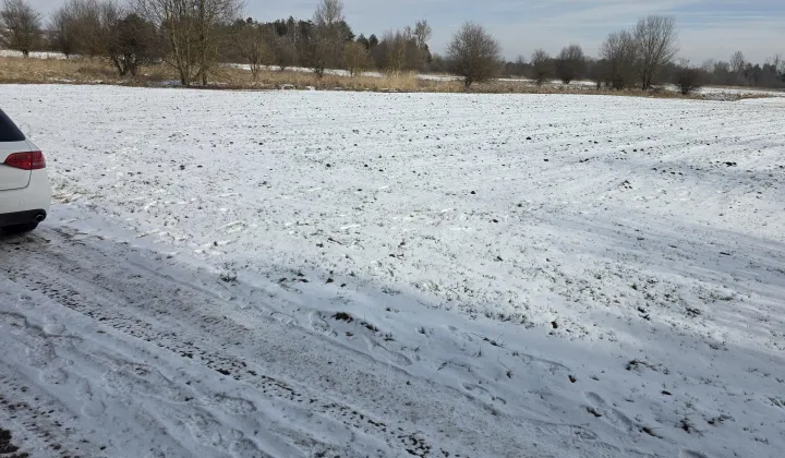 Działka rolna Wolica, Wolica