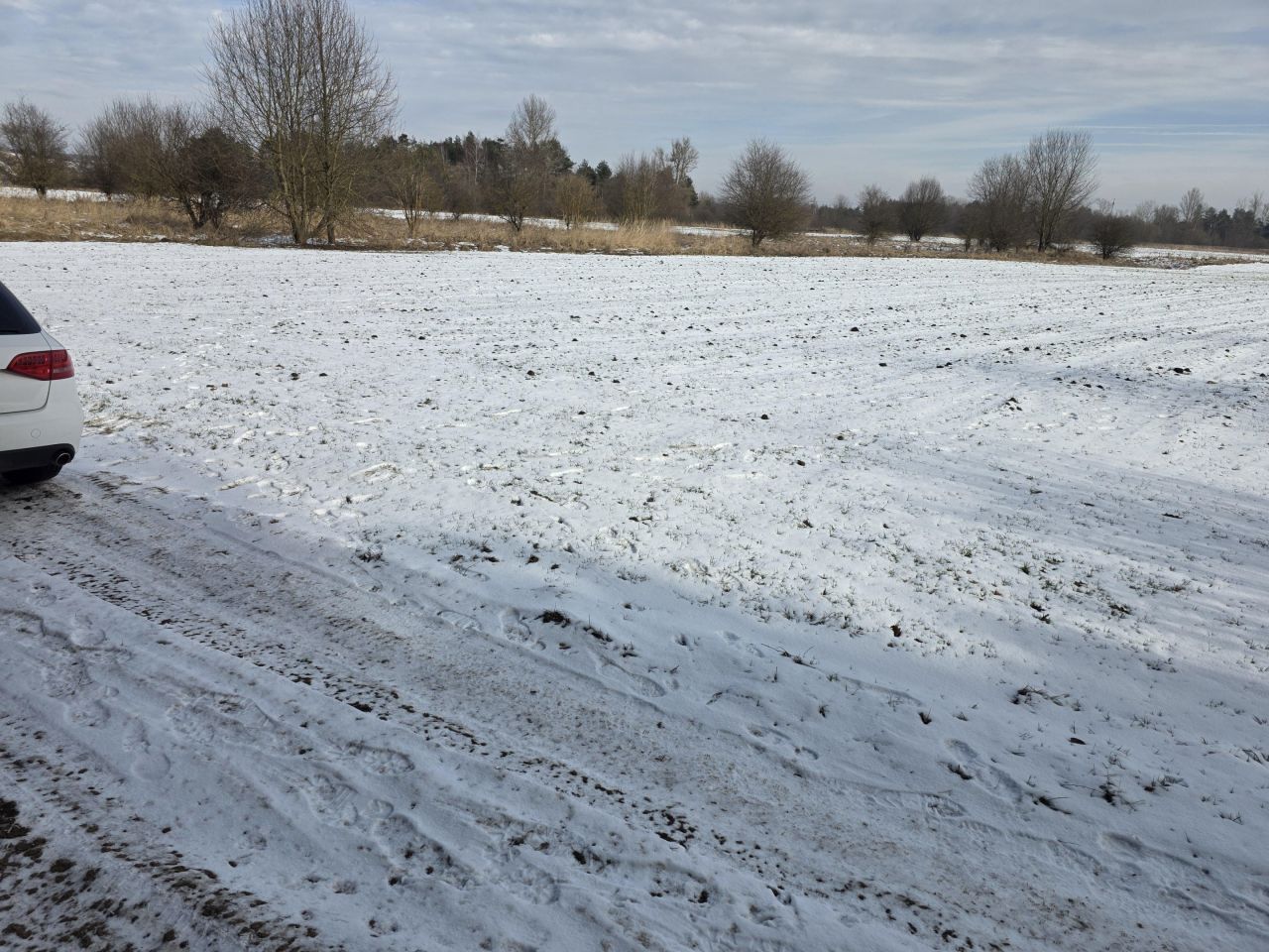 Działka rolna Wolica, Wolica. Zdjęcie 1