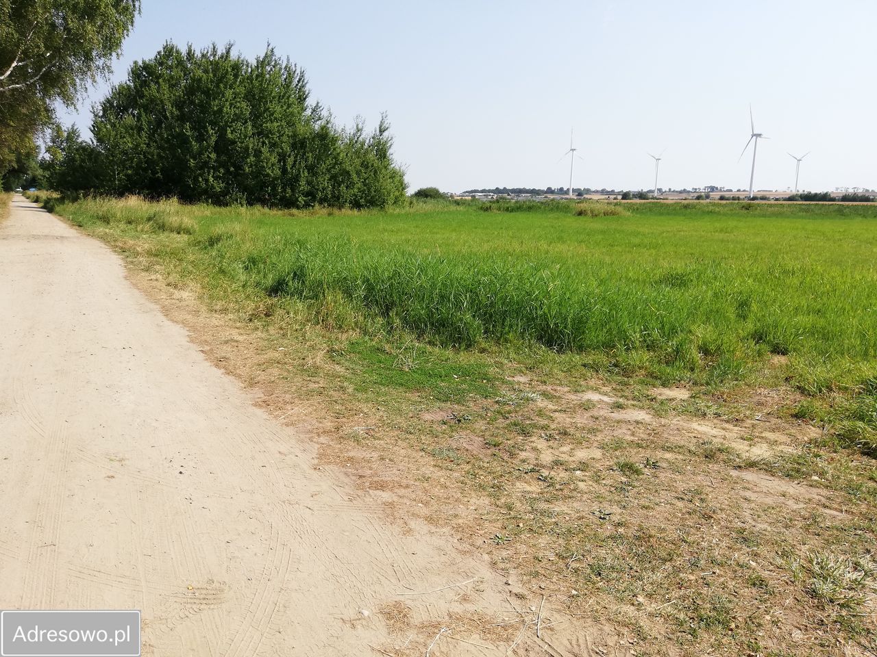 Działka inwestycyjna Kopań. Zdjęcie 4