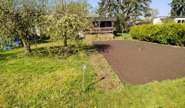 Działka rod Gostyń