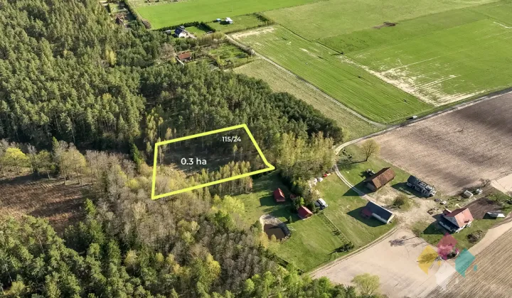 Działka leśna Świętajno, ul. Grunwaldzka