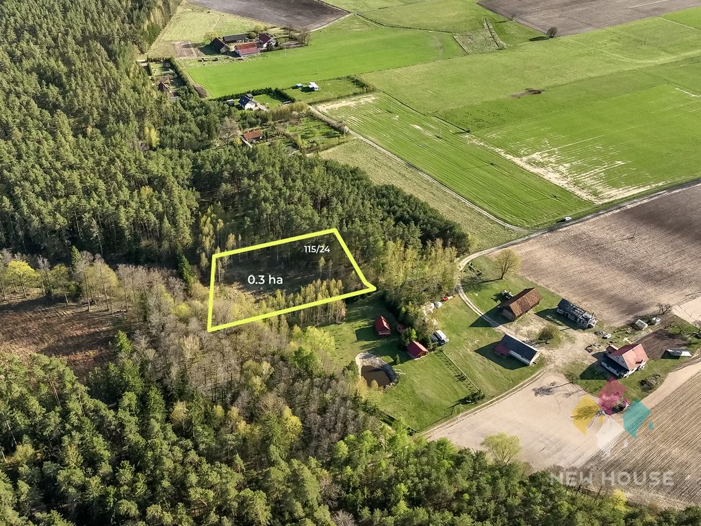 Działka leśna Świętajno, ul. Grunwaldzka. Zdjęcie 1