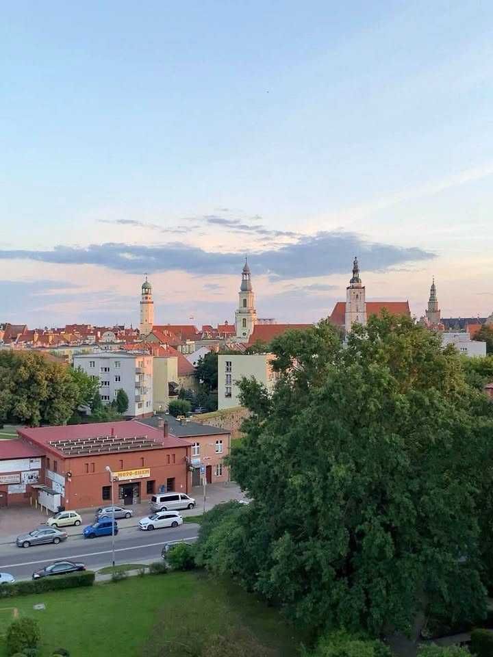 Mieszkanie 1-pokojowe Oleśnica, ul. Rzemieślnicza. Zdjęcie 4