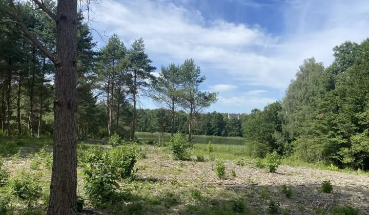 Działka rekreacyjna Borzechowo