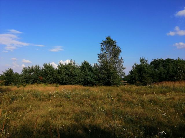 Działka budowlana Lubaty. Zdjęcie 1