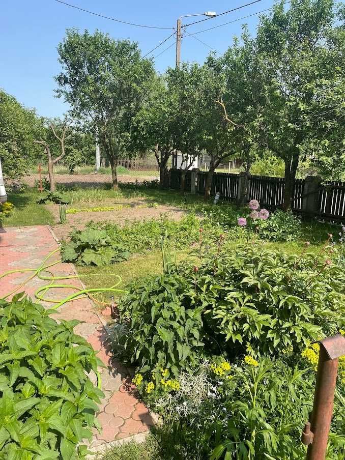 dom wolnostojący Dzierzgowo. Zdjęcie 5