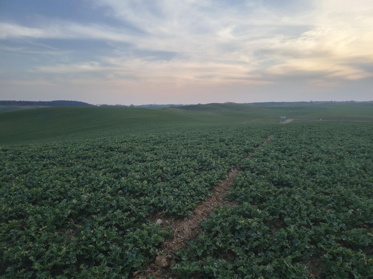 Działka budowlana Lubiszewo Tczewskie. Zdjęcie 16