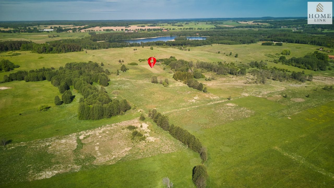 Działka siedliskowa Skolity. Zdjęcie 3