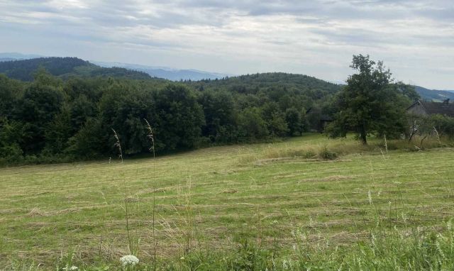 Działka rekreacyjna Wojakowa. Zdjęcie 1