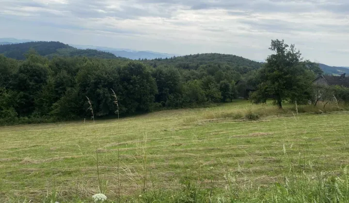 Działka rekreacyjna Wojakowa