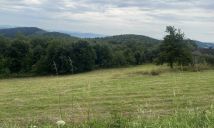 Działka rekreacyjna Wojakowa