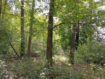 Działka budowlana Osówka. Zdjęcie 4