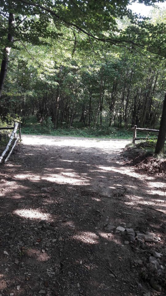 Działka rekreacyjna Czaniec, ul. Myśliwska. Zdjęcie 8