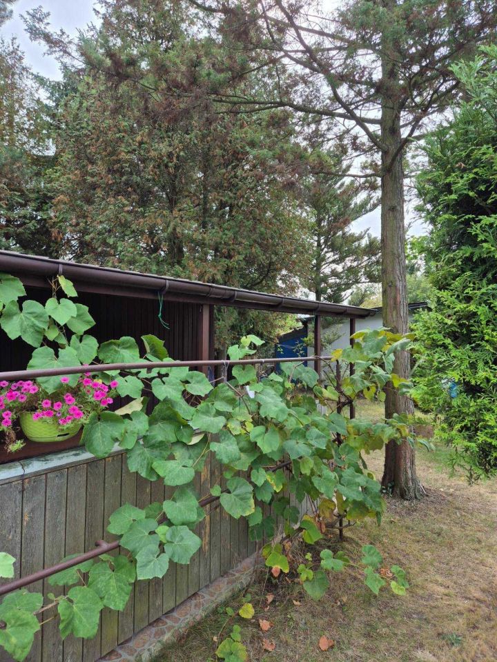 Działka rod Warszawa Paluch. Zdjęcie 4