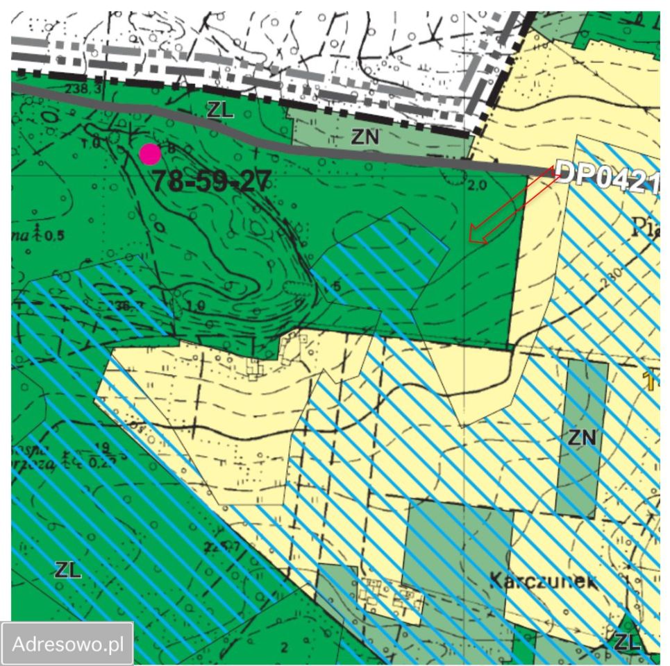 Działka leśna Bedlno. Zdjęcie 10