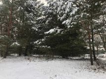 Działka budowlana Zgrzebichy. Zdjęcie 3