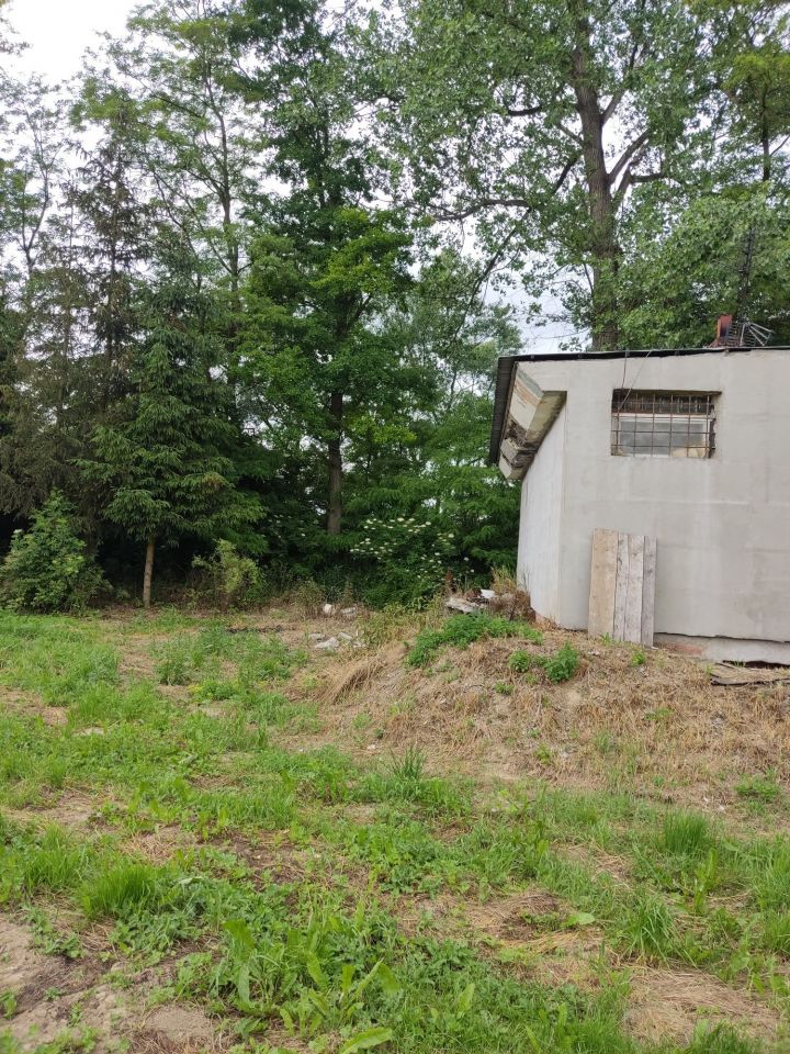 Lokal Witowice. Zdjęcie 5