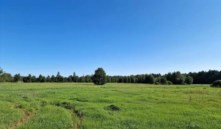 Działka rolna Jonne