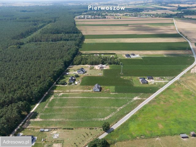 Działka siedliskowa Siedlec. Zdjęcie 1