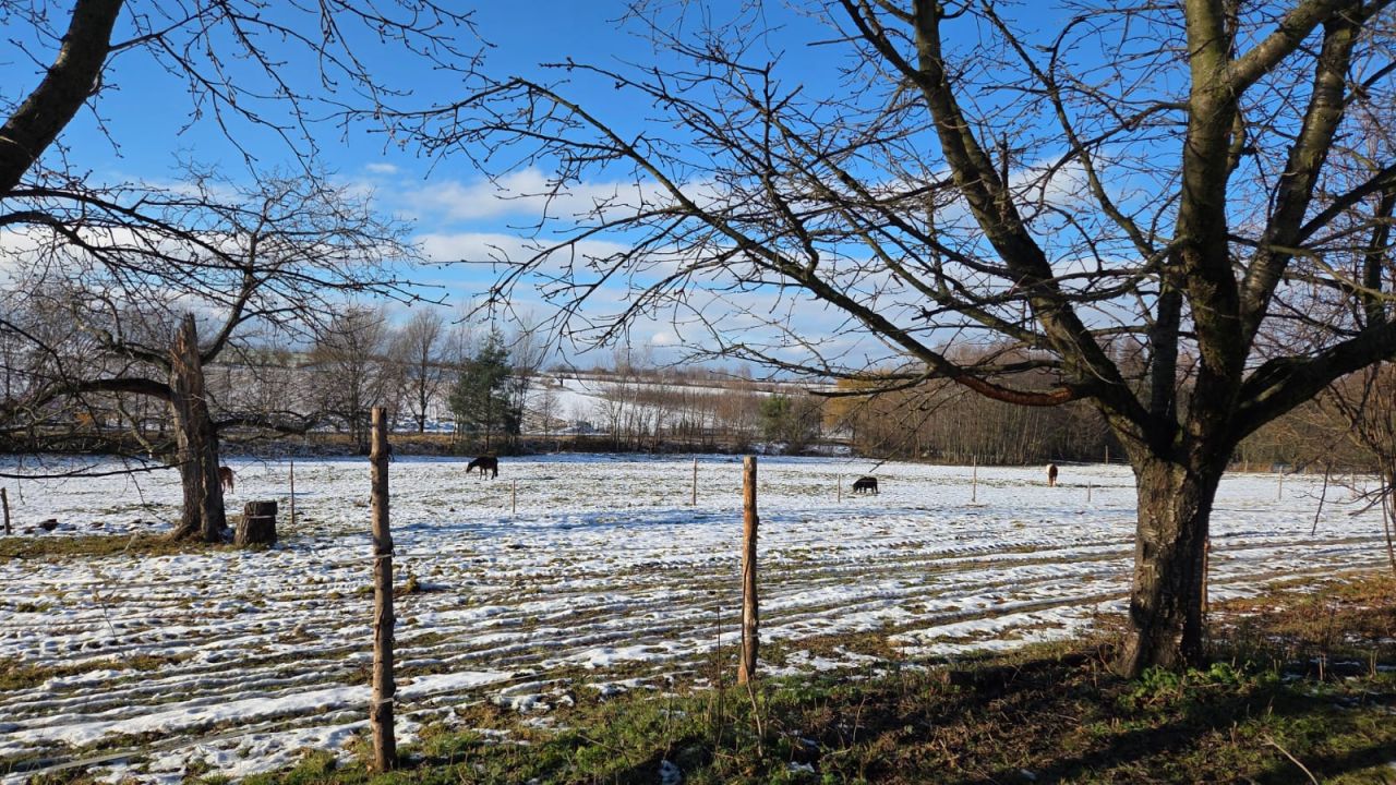 Działka siedliskowa Sady. Zdjęcie 9