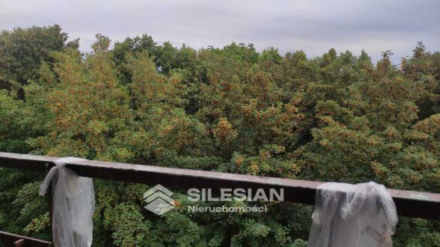 Mieszkanie 2-pokojowe Świdnica. Zdjęcie 11