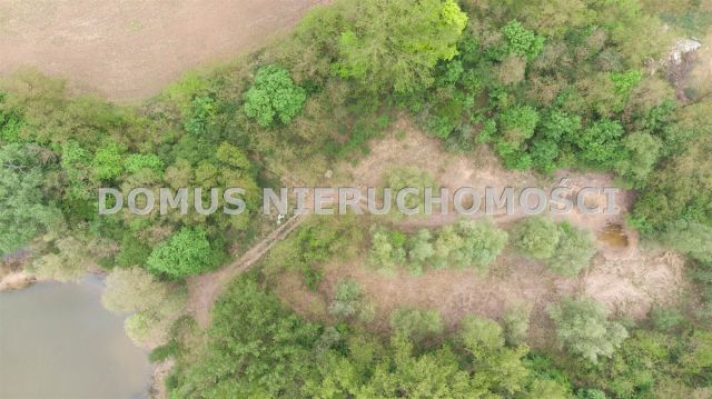 Działka rolna Kutno. Zdjęcie 19