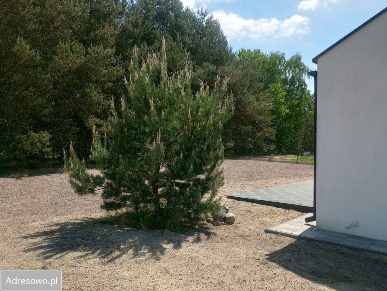 dom wolnostojący, 4 pokoje Kruszyn Krajeński. Zdjęcie 19