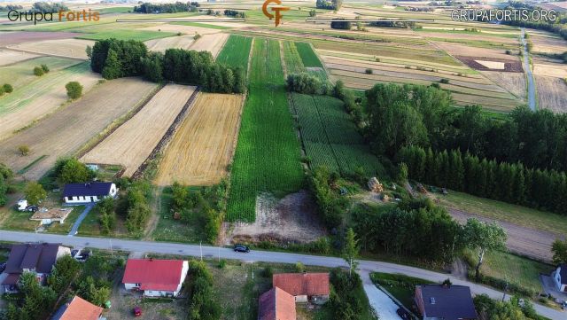 Działka siedliskowa Skalbmierz. Zdjęcie 3