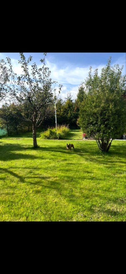 Działka rod Rębiechowo. Zdjęcie 6