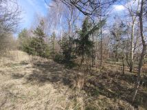 Działka budowlana Mikorzyn. Zdjęcie 3