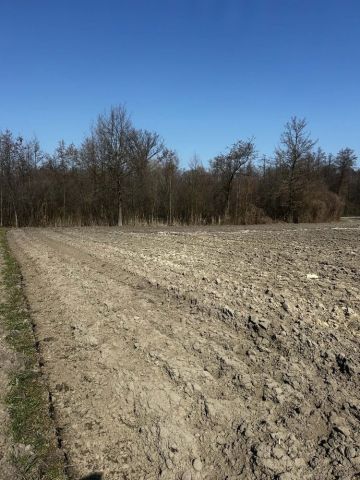 Działka budowlana Borki. Zdjęcie 1