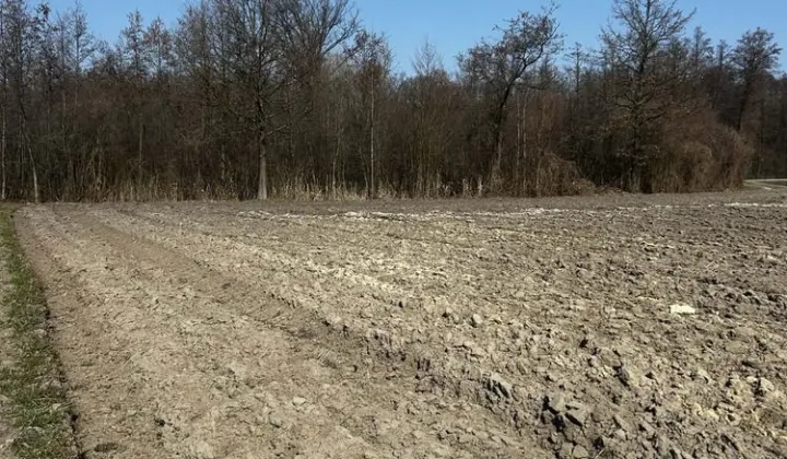 Działka budowlana Borki