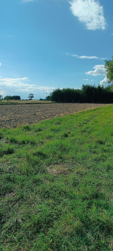Działka budowlana Milcza, ul. Słoneczna. Zdjęcie 9