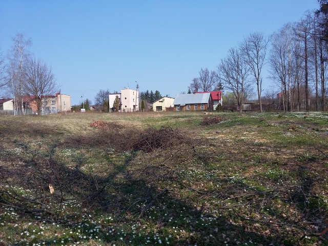 Działka budowlana Bliżyn, ul. Kościuszki. Zdjęcie 1