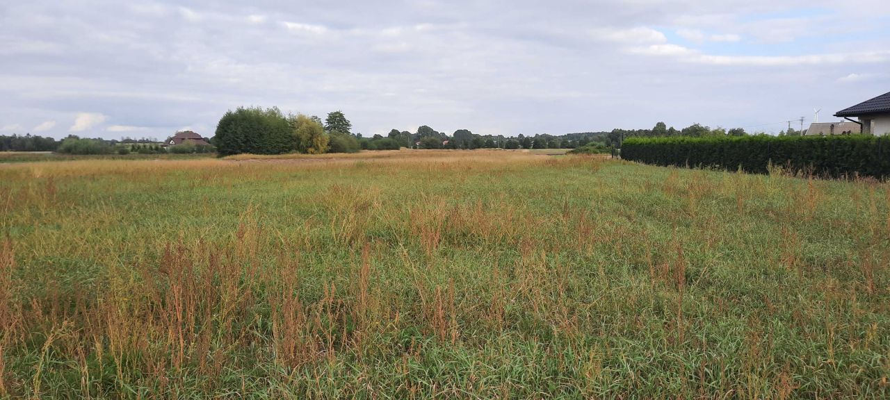 Działka budowlana Radomice. Zdjęcie 7