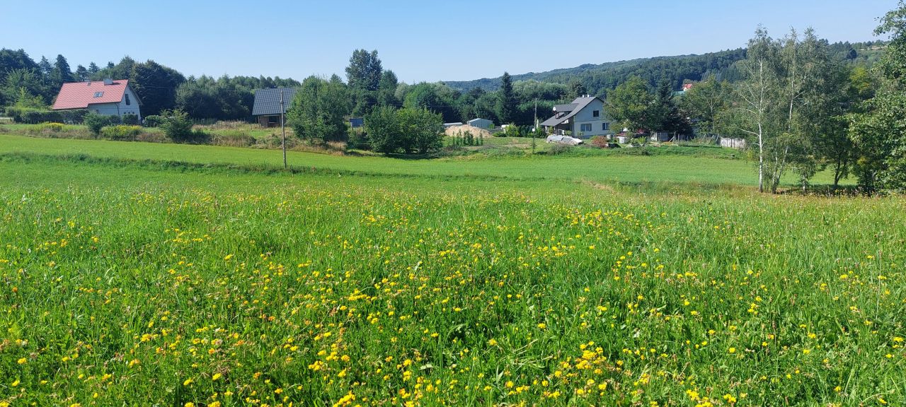Działka budowlana Borek Stary Podklasztor. Zdjęcie 8