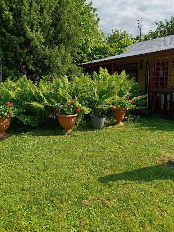 Działka rod Nysa, ul. Jana Zamoyskiego. Zdjęcie 6